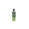 Tea Tree Replenishing Shampoo 382mL