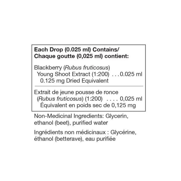 Rubus fruticosus 125mL