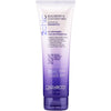 2 chic Black Berry Shampoo 250mL