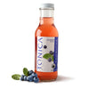 Kombucha Blueberry 355mL
