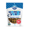 Organic Blueberry Granola 283g