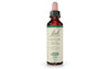 Centaury 20mL