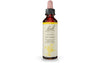 Cerato 20mL