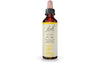 Gorse 20mL