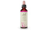 Larch 20mL