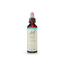 Vervain 20mL