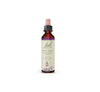 Water Violet 20mL
