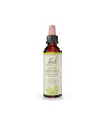 White Chestnut 20mL