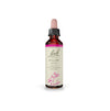 Willow 20mL