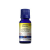 Clove Bud Oil Organic 15mL