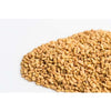 Fenugreek 125g