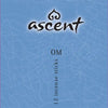 Om Incense 12 Sticks