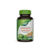 Astragalus 100 Capsules