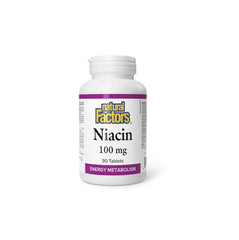 Niacin 100mg 90 Tablets