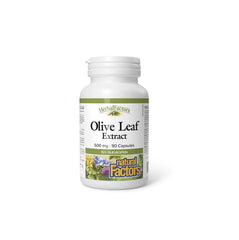 Olive Leaf 500mg 90 Caps