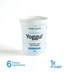 Vanilla Yogort Probiotic 450g