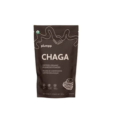 Chaga Mushroom Powder 60g