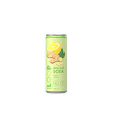 Lemon Ginger Soda 355ml
