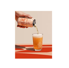 Partake Non Alcoholic Beer Peach Gose 355ml