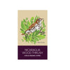 Nicaragua Wood  Trush Whole Bean 340g
