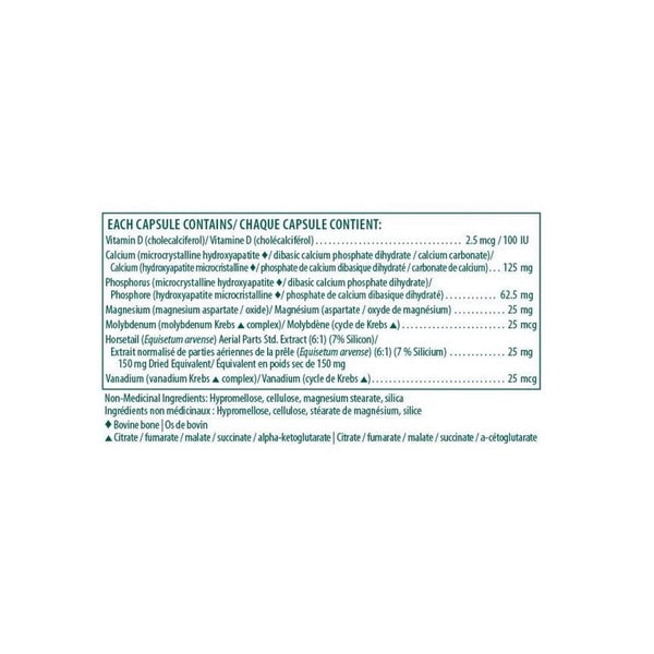 Aesculus Hippocastanum 125 ml