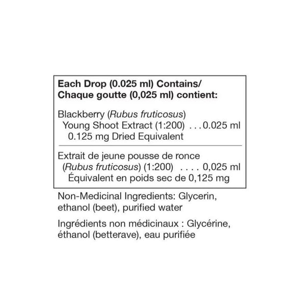 Rubus fruticosus 125mL