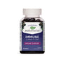 Sambucus Immune 60 gummies