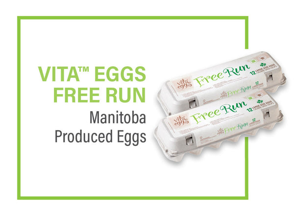 Vita Eggs Organic 12 Eggs