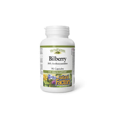 Bilberry 36% Anthocyanidins 90 Caps