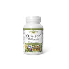 Olive Leaf 500mg 90 Caps