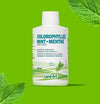 Chlorophyll Mint 500ml