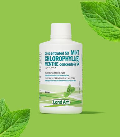5x  Mint Concentrate Chlorophyll 500ml