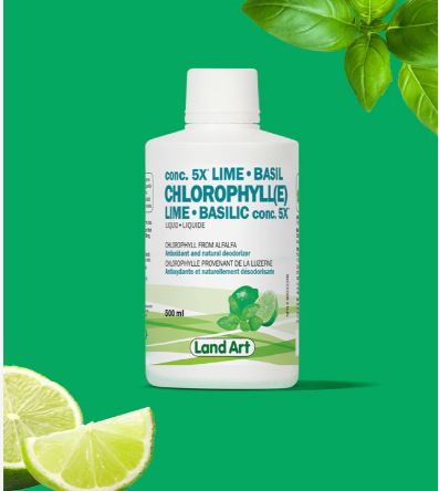 5x Lime & Basil Concentrate Chlorophyll 500ml