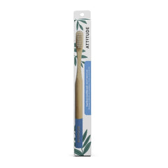 Adult Toothbrush Blue