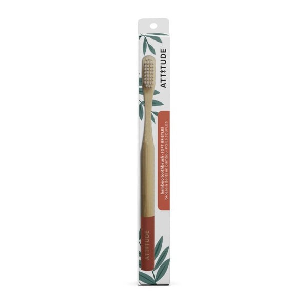 Adult Toothbrush Orange