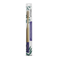Adult Toothbrush Purple