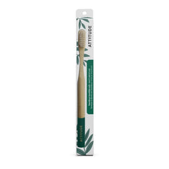 Adult Toothbrush Green