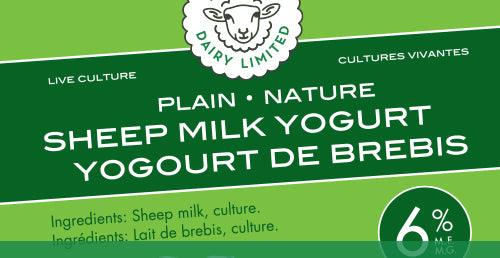 Sheep Milk Yogurt Plain 500mL