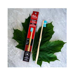 Canadian Maple Wood Tooth Brush Soft