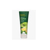 Green Apple and Ginger Shampoo 237mL