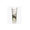 Spicy Vanilla Chai Hand and Body Lotion 237mL