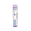 Hypericum Perforatum 30CH