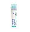 Histaminum Muriaticum 6CH