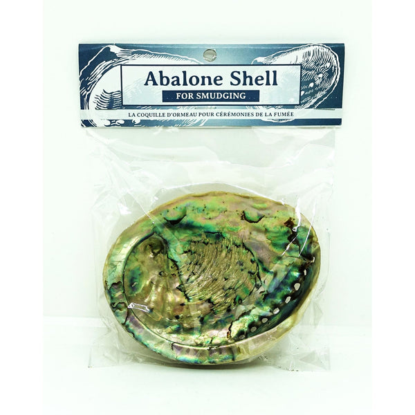 Abalone Shell 5~6" Med Packaged