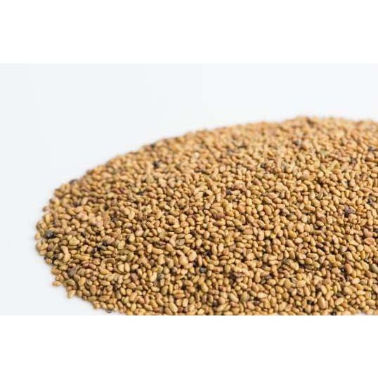 Alfalfa Seeds125g - Sprout
