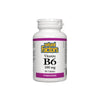 B6 Pyridoxine 100mg 90 Tablets