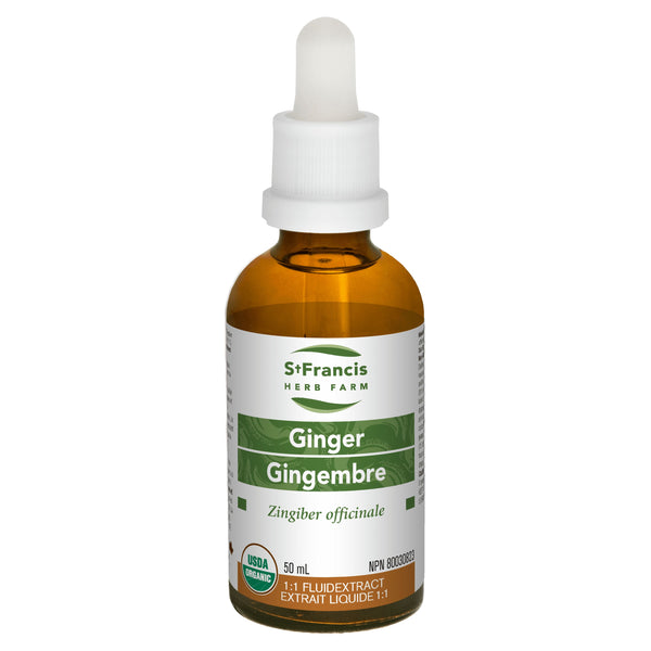 Ginger 50mL - Herbs