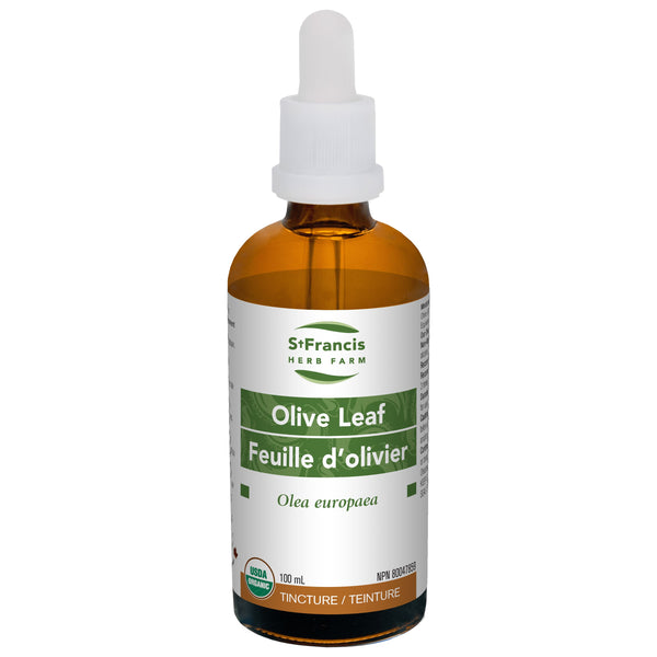 Olive Leaf 50mL - Herbs
