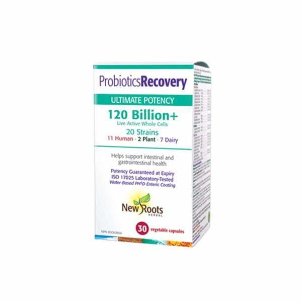 Probiotics Recovery 120 Billion 30 Caps - ProbioticsRefrigerate