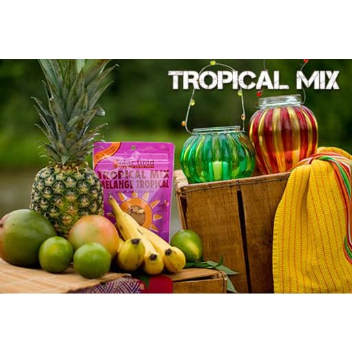 Tropical Mix Dried Fruit 120g - DriedFruitsNuts